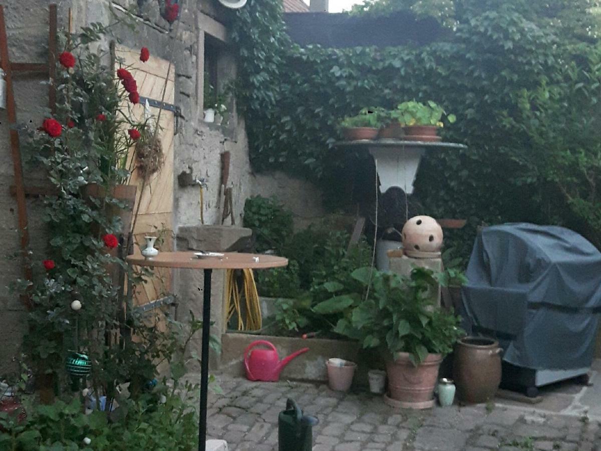 Ferienwohnung Хамелбург Екстериор снимка